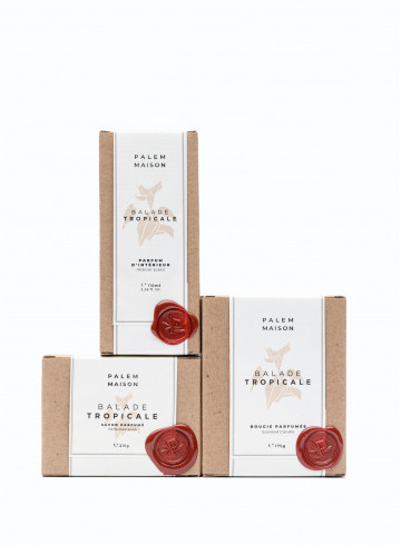 PARFUM D'INTÉRIEUR-PALEM