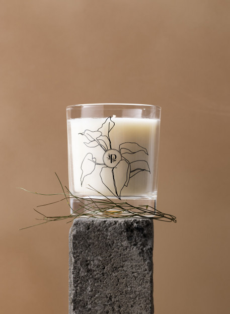 BOUGIE PARFUMÉE-PALEM